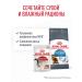 ROYAL CANIN Feed for the prevention of excess weight of cats 400 g - Buy Online on GoSupps.com