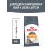 ROYAL CANIN Dry food for cats for the health of wool and skin 400 g