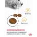 ROYAL CANIN Dry food for cats for the health of wool and skin 400 g - Buy Online on GoSupps.com
