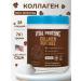Vital Proteins Collagen peptides chocolate taste 761g