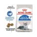 ROYAL CANIN Dry food Indoor 7+ for elderly cats living at home 1.5 kg - Buy Online on GoSupps.com