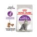 ROYAL CANIN Dry food RC Sensible for cats with sensitive gastrointestinal tract 2kg - Buy Online on GoSupps.com