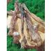 Zoopeet Goodies for dogs wires beef 300 grams - Buy Online on GoSupps.com