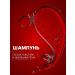 Kurmanaeva AK Shampoo and hair air conditioner 500 ml - Buy Online on GoSupps.com