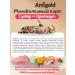 AmiGold Cat food dry 3 kg turkey - Buy Online on GoSupps.com