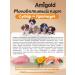 AmiGold Dry food for large species of 5 kg turkey - Buy Online on GoSupps.com