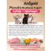 AmiGold Super premium food for kittens dry 1.5 kg turkey - Buy Online on GoSupps.com