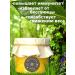 Proper Honey Bashkir honey natural forest thick - Buy Online on GoSupps.com
