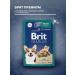 Brit Wet feed Premium for dogs duck in sauce 85 g 10 pcs - Buy Online on GoSupps.com