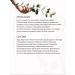 Manufactory House of Nature Acne washing foam with salicylic acid teen teen - Buy Online on GoSupps.com
