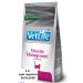 Farmina vet life 2 kg Struvite Management for cats