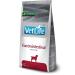 Farmina VET LIFE DREAM FOR DOBLE FORD GASTROINTESTINAL DOG 2kg - Buy Online on GoSupps.com