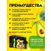 Tonal cream Kushon for Facial Extract Avocado - Buy Online on GoSupps.com