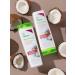 SYNERGETIC Hair Therapy Shampoo Strengthening and Hair Nut 400 ml - Buy Online on GoSupps.com