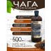 CHAGA FOOD Water -based fluid extract 12 1 500 ml