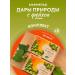 Sweets from Kolomna Set of natural marmalade Feihoa without sugar
