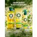 Herbal Essences Shampoo chamomile Herbal Esense 350 ml - Buy Online on GoSupps.com