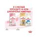 ROYAL CANIN Kitten dry food for kittens from 4 to 12 months 2kg - Buy Online on GoSupps.com