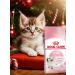 ROYAL CANIN Kitten dry food for kittens from 4 to 12 months 2kg - Buy Online on GoSupps.com