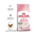 ROYAL CANIN Kitten dry food for kittens from 4 to 12 months 2kg - Buy Online on GoSupps.com