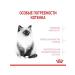 ROYAL CANIN Kitten dry food for kittens from 4 to 12 months 2kg - Buy Online on GoSupps.com