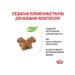 ROYAL CANIN Kitten dry food for kittens from 4 to 12 months 2kg - Buy Online on GoSupps.com
