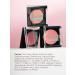 BELOR DESIGN Dry blossom for the face with Velvet Touch Shimmer Ton 103 - Buy Online on GoSupps.com