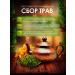 Herbs of the Caucasus Tibetan rejuvenating herbal collection - Buy Online on GoSupps.com
