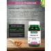 Shiffa home Vitamin E 400 ME 60 capsules - Buy Online on GoSupps.com