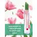 BELWEDER Manifesting tint balm with phytosterol pink