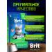 Dry feed Brit for sterilized cats 8 kg - Buy Online on GoSupps.com