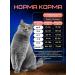 Brit Dry food Metabolic for sterilized cats 1.5 kg - Buy Online on GoSupps.com