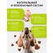 BEST PETS Vitamins for dogs with a probiotic omega-3 coenzyme colostrum - Buy Online on GoSupps.com