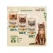 Prime Ever Dry food for kittens of all rocks turkey 1.5 kg - Buy Online on GoSupps.com
