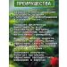 Blagodeya Tincture ginseng 500 ml - Buy Online on GoSupps.com