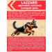Lazzaro Dry food for dogs of large breeds - Buy Online on GoSupps.com