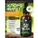 key2life Chlorophyll -liquid dietary cord with mint bio concentrate
