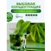 key2life Chlorophyll -liquid dietary cord with mint bio concentrate - Buy Online on GoSupps.com