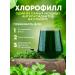 key2life Chlorophyll -liquid dietary cord with mint bio concentrate - Buy Online on GoSupps.com