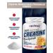 Be First Micronized creatine monohydrate powder 300 g orange - Buy Online on GoSupps.com