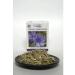 Fild Pharm Grass dried grass of chicory 40g - Buy Online on GoSupps.com