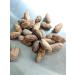COCOA KRUTOV Cocoa tree seeds manual bulkhead Ecuador 100 g - Buy Online on GoSupps.com