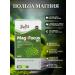 Swiss Magnesium B6 B6 Treonate P5P Antidepressant Healthy sleep - Buy Online on GoSupps.com