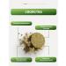 Gordeev Herbal collection for diabetes - Buy Online on GoSupps.com