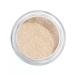 Artdeco Loaded face powder Translucent Loose Powder tone 02 - Buy Online on GoSupps.com