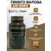 NUTRAXIN Ginkgo biloba capsule T rkiye