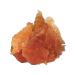 Country delicacies Chicken slices delicate for dogs 90 g 5 packs - Buy Online on GoSupps.com