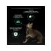 PRO PLAN Sterilized wet food for cats turkey 85 gr - Buy Online on GoSupps.com