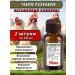 skhzh Chikictonic 2 pieces of 50ml vitamins for animals and birds