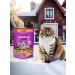 WHISKAS Dry food for cats 7+ pillows chicken and turkey 800g - Buy Online on GoSupps.com